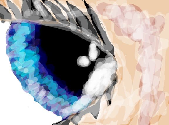 eye