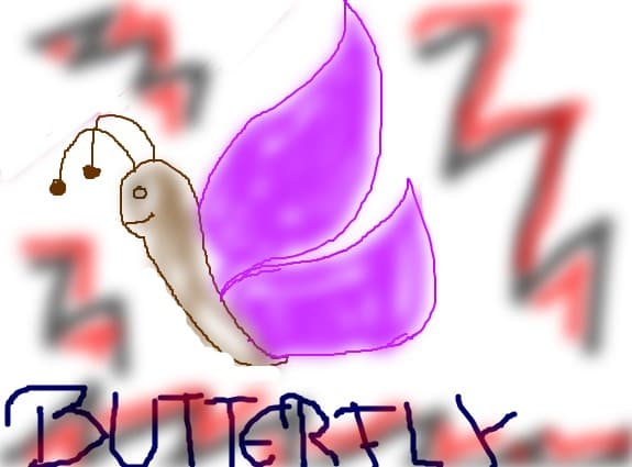 butterfly