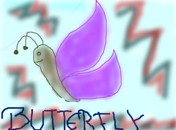 butterfly