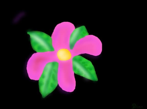O floare