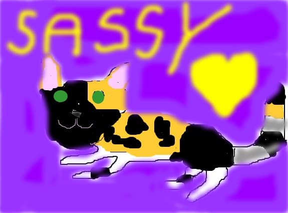 sassy