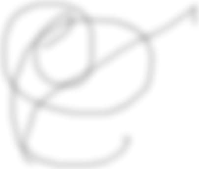 ss