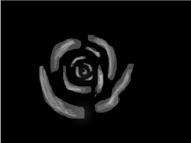 rose