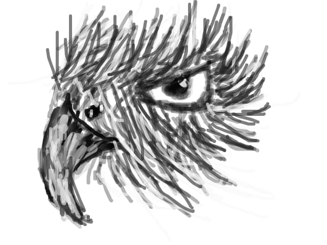 vultur