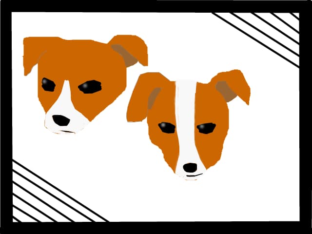 rexy &amp; bobi