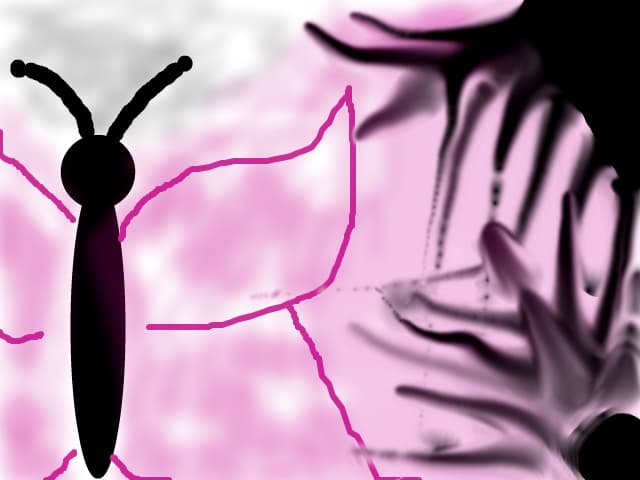 Dydy0308