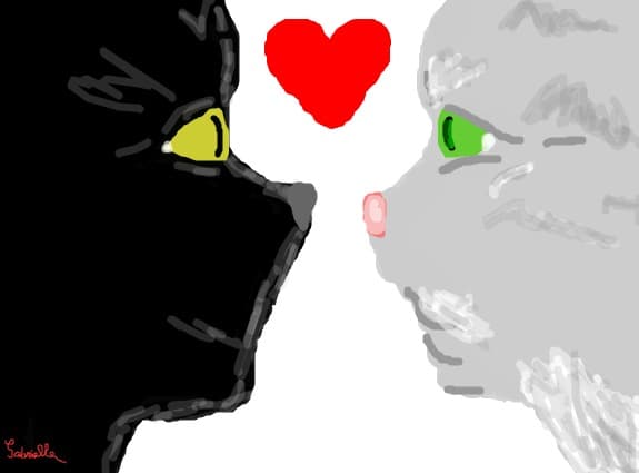 Cats in love