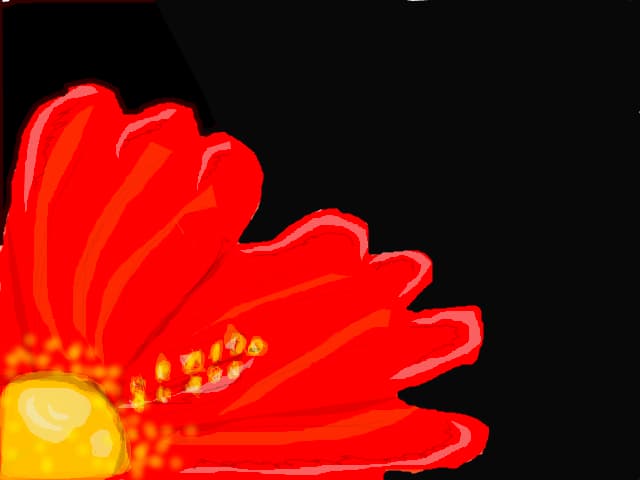 Floare pentru ce-i care iubes florile