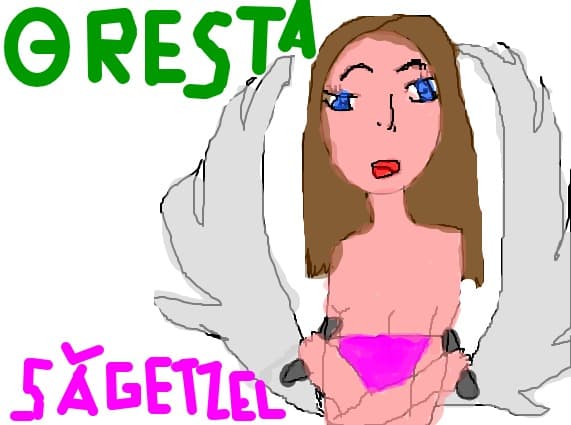 si pt sagetzel
