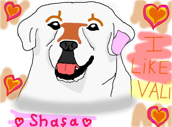 Shasa