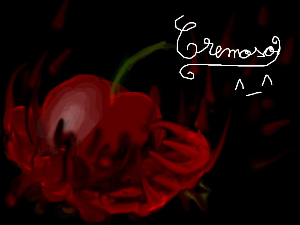 cremoso