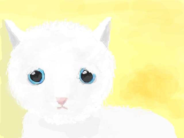 white cat