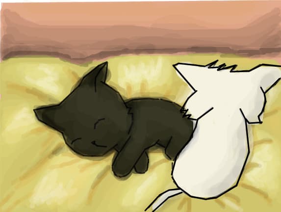 Good Night :)