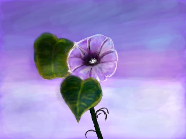 o floare pt.tata
