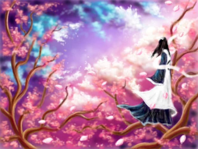 cherry blossom