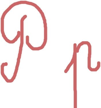 litera p