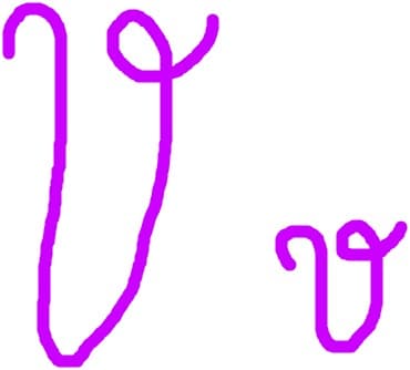 litera v