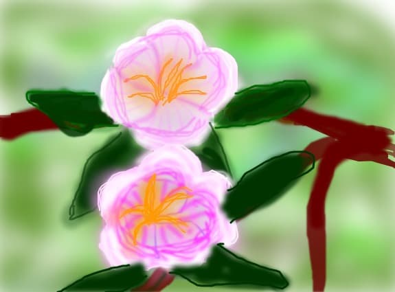 Floricele de primavara
