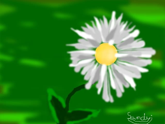 this is flower:X