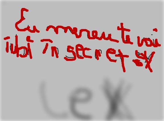 alex?stelica