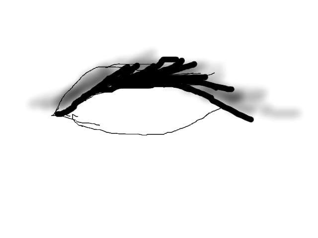 meda1