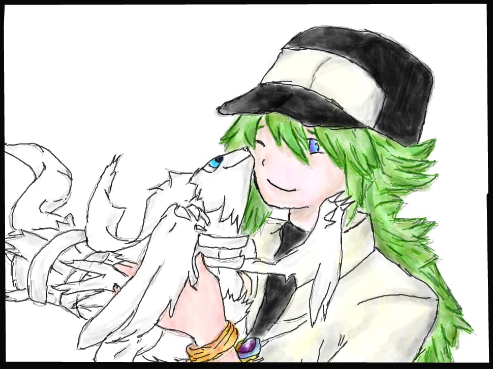 N and Reshiram