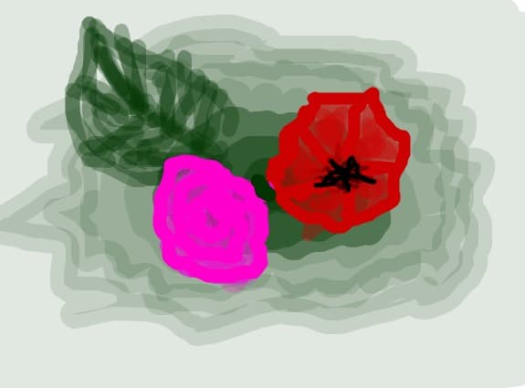 flori