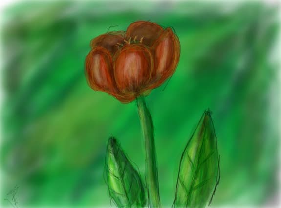 Floare...