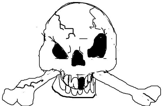 skull