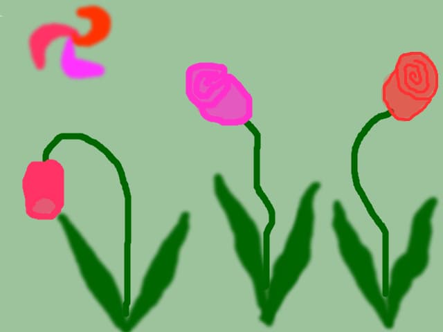 flori