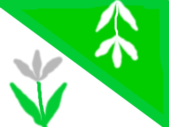 ghiocei