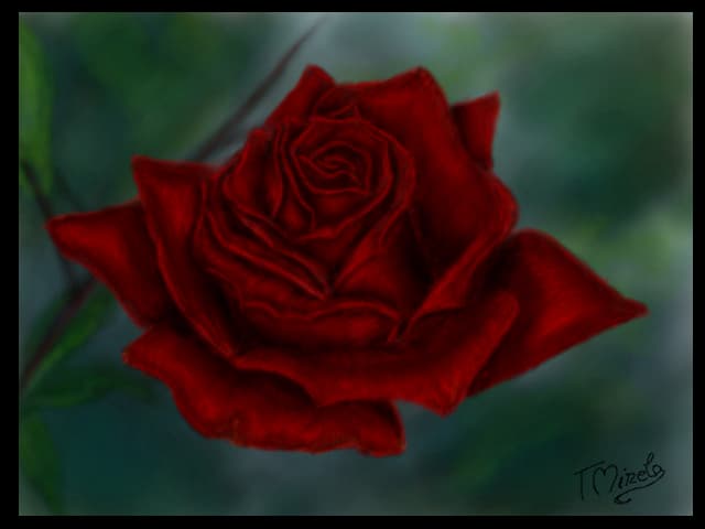 little roses