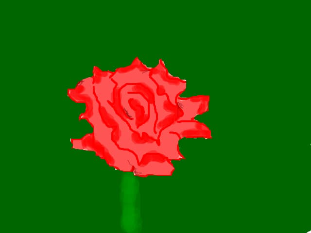 trandafir