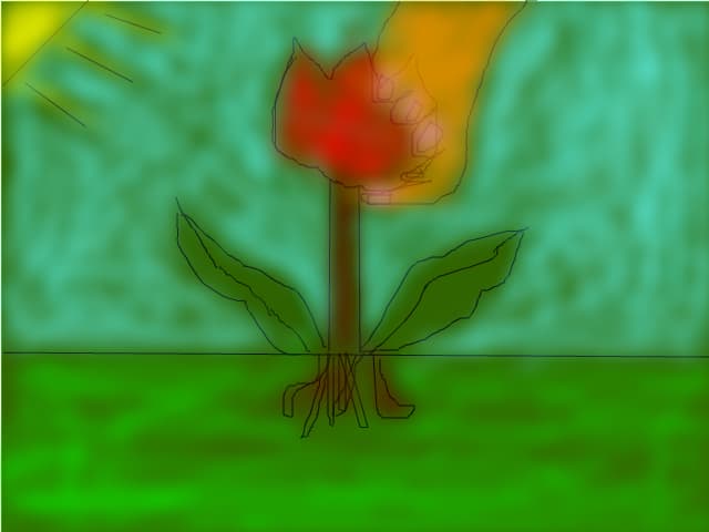 Macul