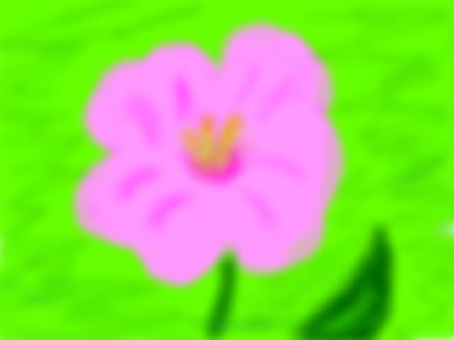 Floare