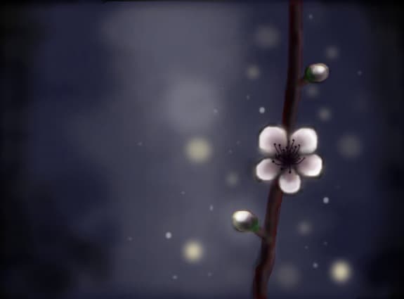 Cherry Bloom