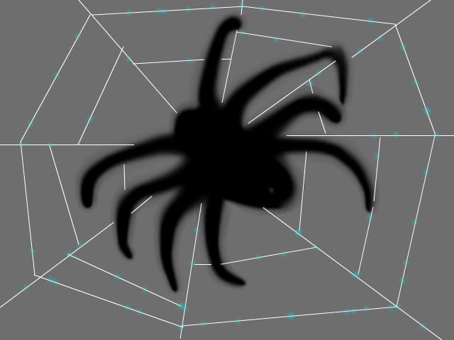 spider