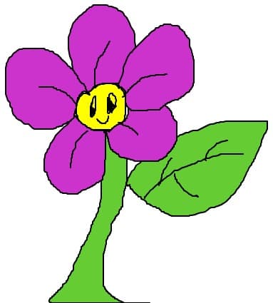 floricica colorata