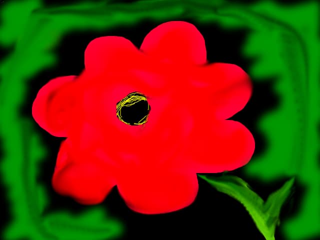 o floare