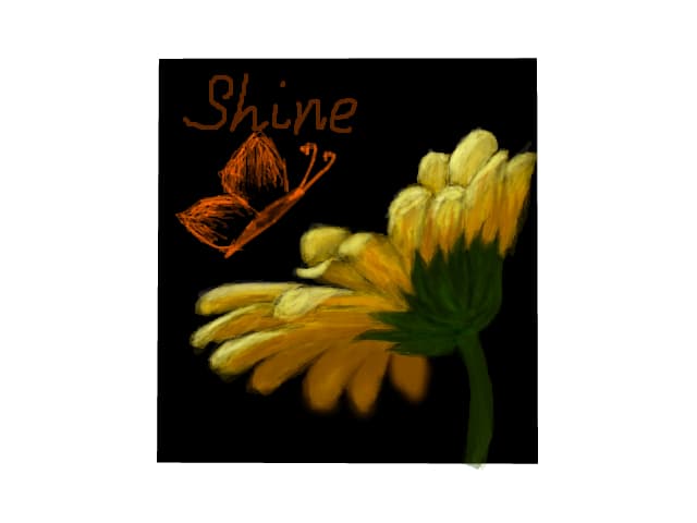 Shine! oops! thats mine! O.o