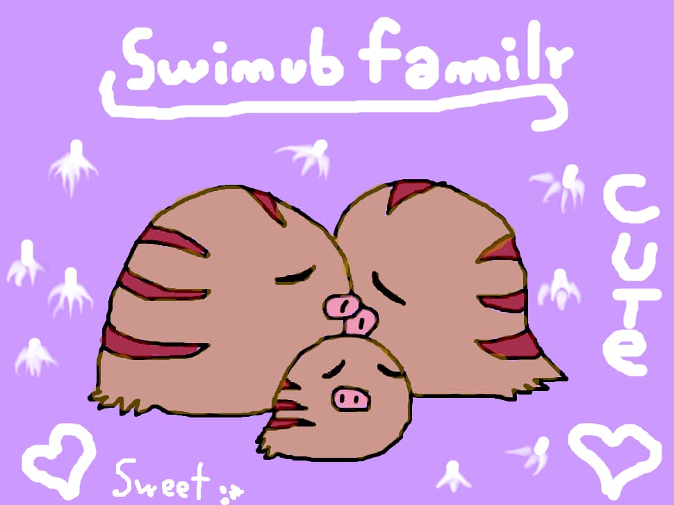 swinub family