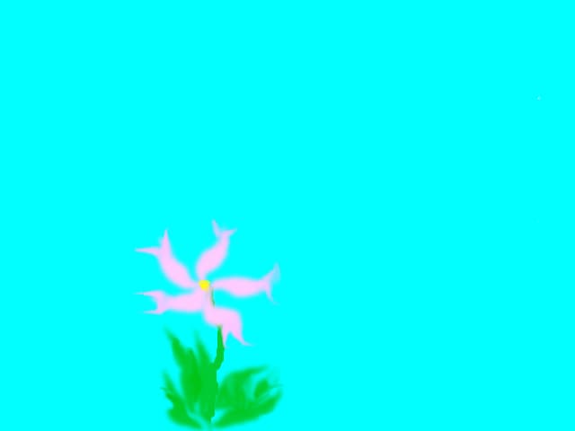 floricica