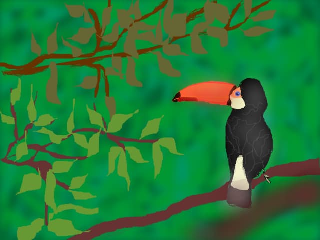 Toco Toucan