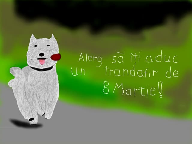 Alerg sa iti aduc un trandafir de 8 Martie!