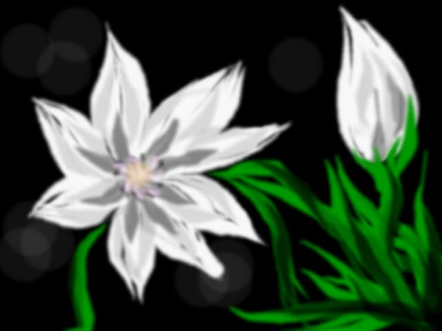floare alba