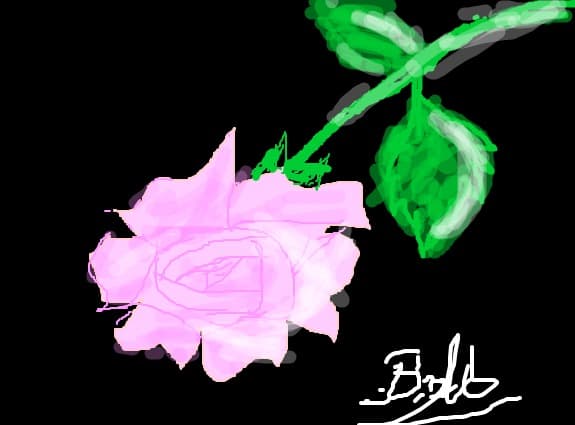 Rose Pink