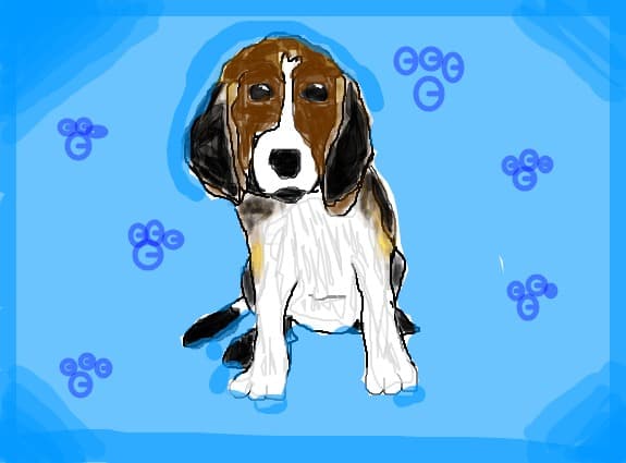 beagle