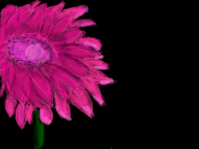 o floare