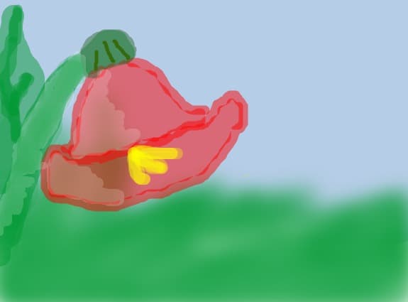 Clopotelul