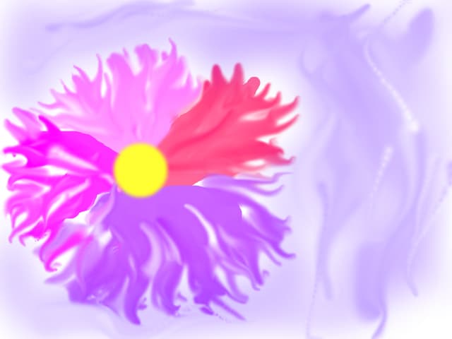 FLORI